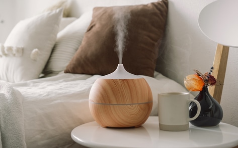 20 Products to Create the Ultimate Vegan Home