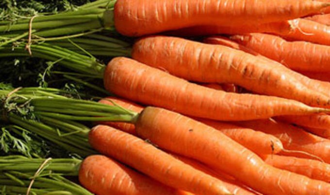 carrots