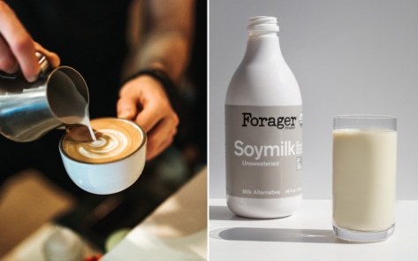 Is Soy Milk Making a Comeback? For Dairy-Free Brand Forager Project, The Answer Is Yes.