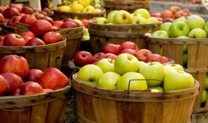 apples large