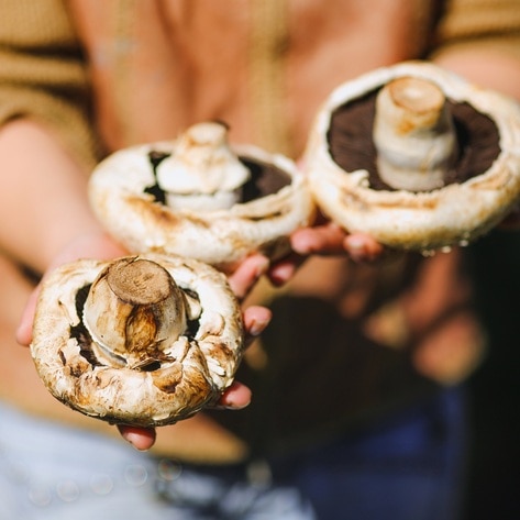 New Study Finds Mushrooms May Lower Risk of Depression