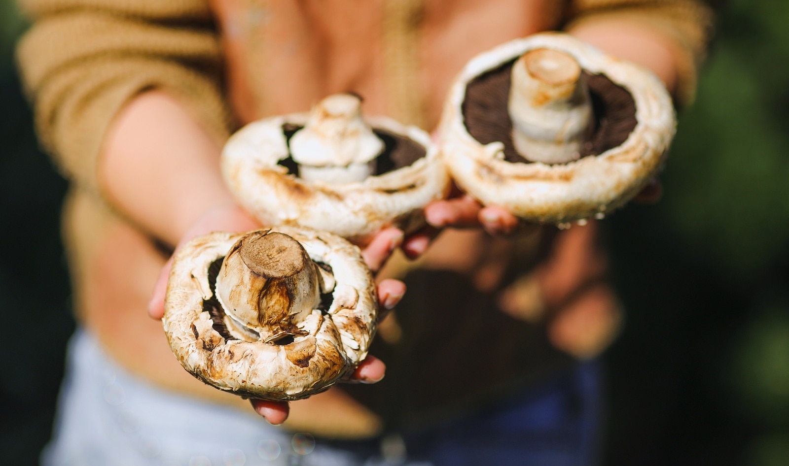 New Study Finds Mushrooms May Lower Risk of Depression