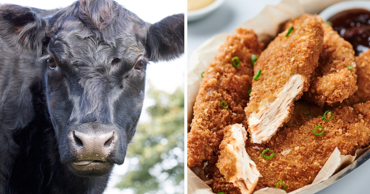 Why the World's Largest Beef Company Is Launching Vegan Chicken - Vimarsana News