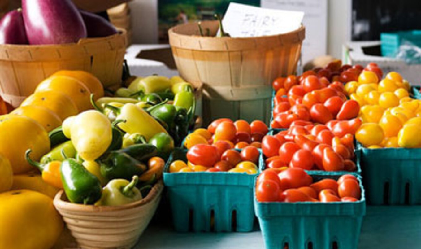 Rehoboth Beach VegFest Set to Take Place June 1