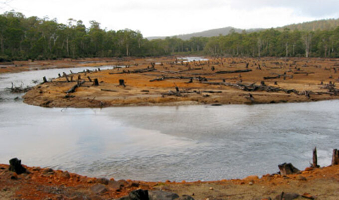 deforestationLG