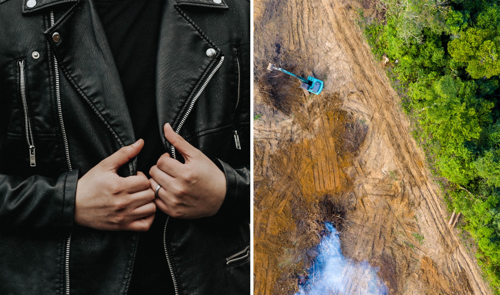 Beef Production Is Destroying the Amazon. Turns Out, Leather Is, Too.