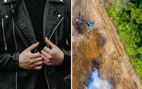 Beef Production Is Destroying the Amazon. Turns Out, Leather Is, Too.