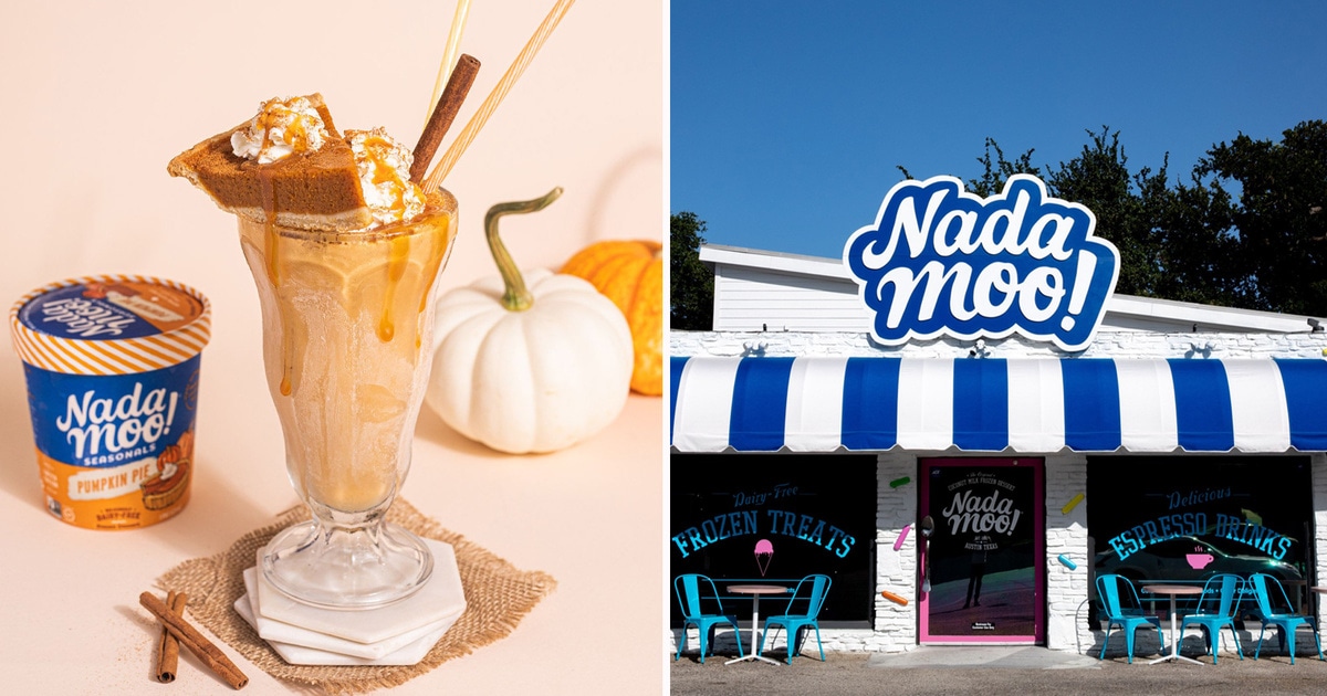 Vegan Ice Cream Pioneer NadaMoo! Secures $10 Million Investment to Expand Into New Products - Vimarsana News