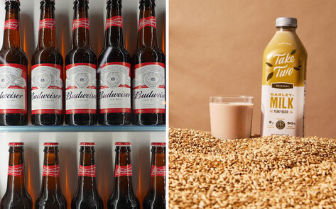 Can Beer Waste Become Vegan Eggs and Milk? Budweiser's Parent Company Is Looking Into It.