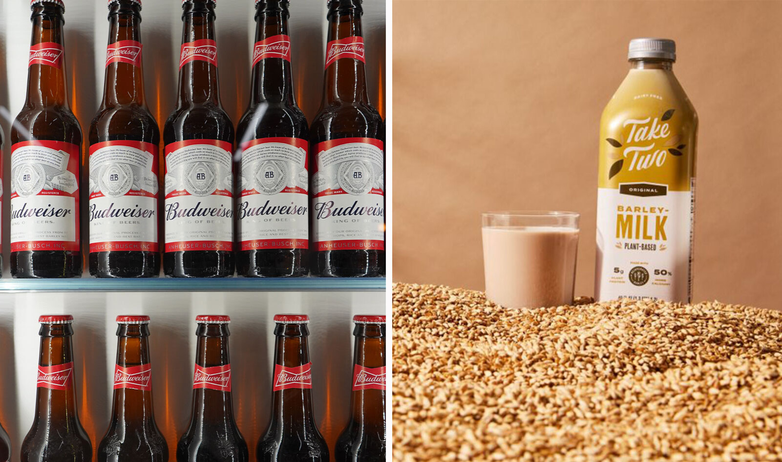 Can Beer Waste Become Vegan Eggs and Milk? Budweiser's Parent Company Is Looking Into It.