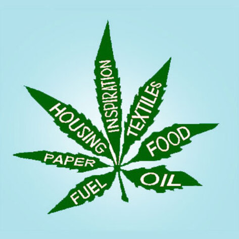 All About Hemp