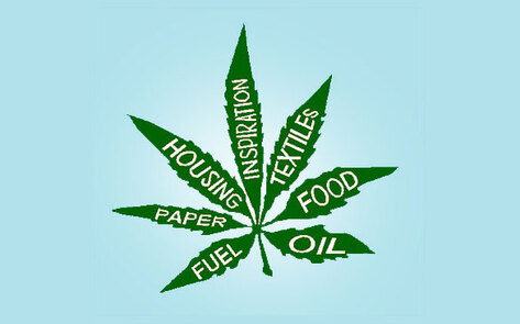 All About Hemp