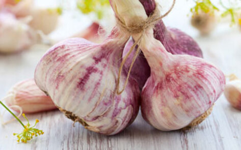 5 Effective Ways to Conquer Cold Season