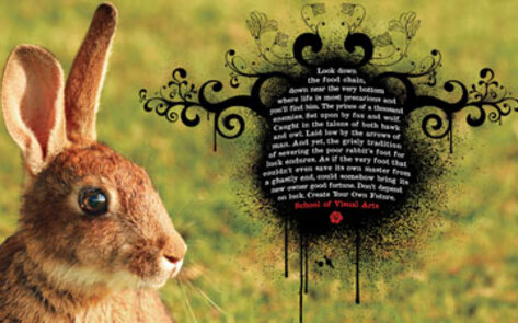 Lucky Animals Ad Campaign