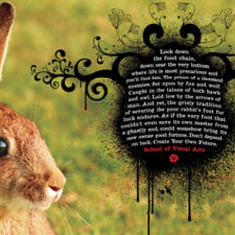 Lucky Animals Ad Campaign