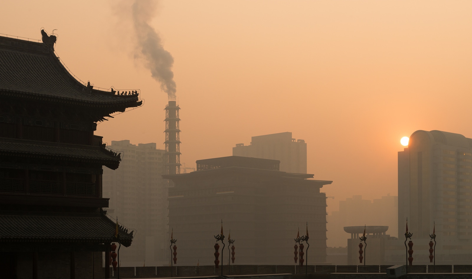 Meat Industry Pollution Linked to 90,000 Premature Deaths in China, New Study Finds 