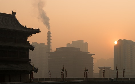 Meat Industry Pollution Linked to 90,000 Premature Deaths in China, New Study Finds 