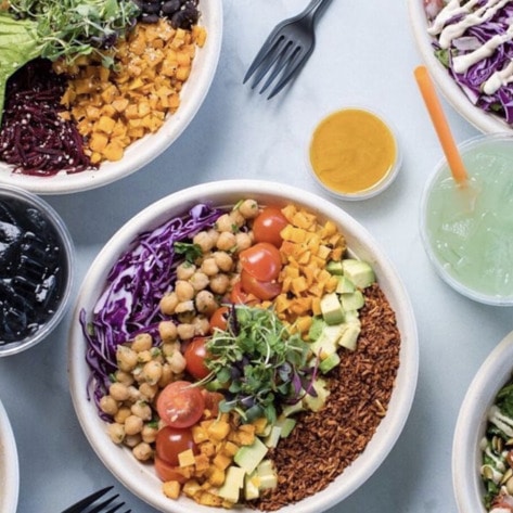 Vegan Versus Plant-Based: Is There a Difference? 