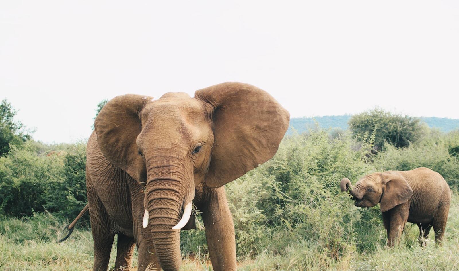 The First Truly Ethical African Safari Is Coming This Spring