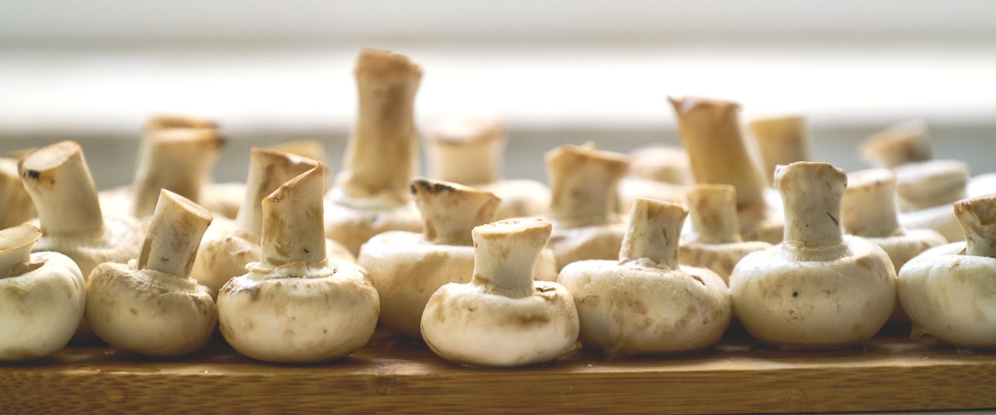 The Benefits of Mushrooms Plus 10 Vegan Mushroom Recipes
