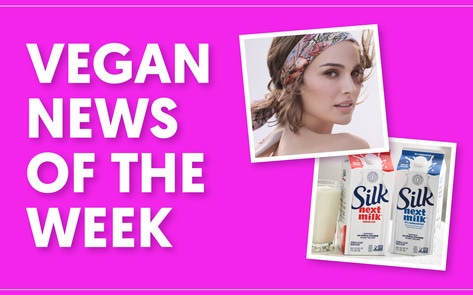 Silk's New Dairy-Free Milk, Natalie Portman's Favorite Meatless Bacon and More Vegan Food News of the Week