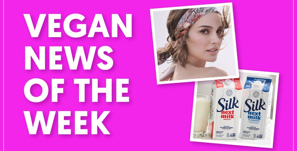 Silk's New Dairy-Free Milk, Natalie Portman's Favorite Meatless Bacon and More Vegan Food News of the Week