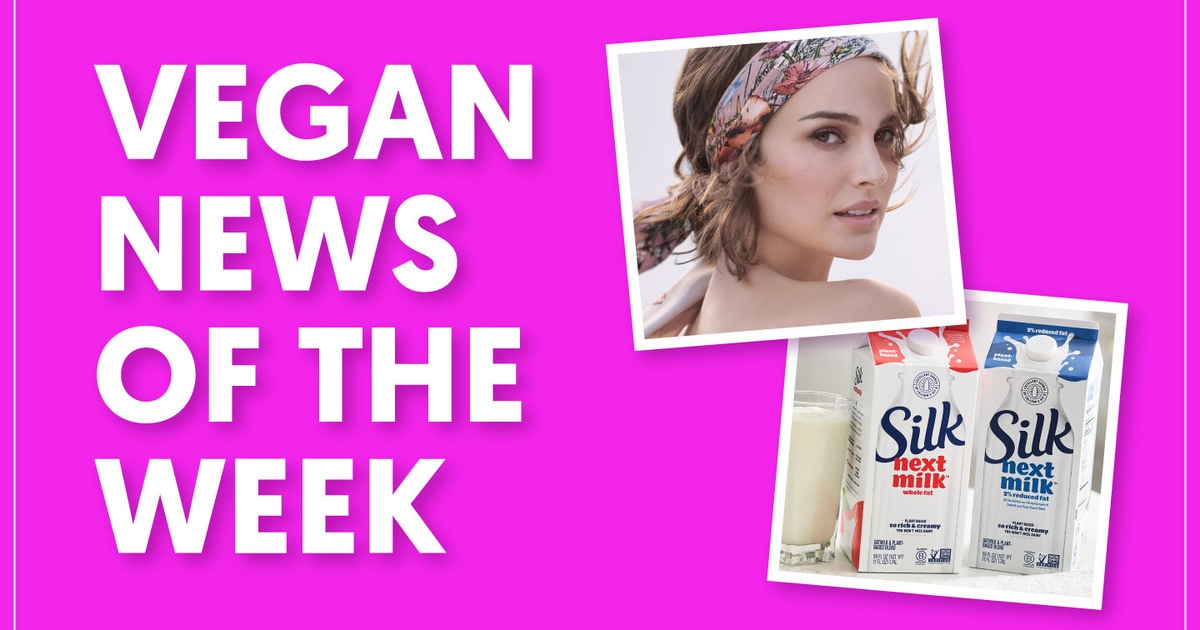 Silk’s New Dairy-No cost Milk, Natalie Portman’s Favourite Meatless Bacon and More Vegan Food items News of the Week
