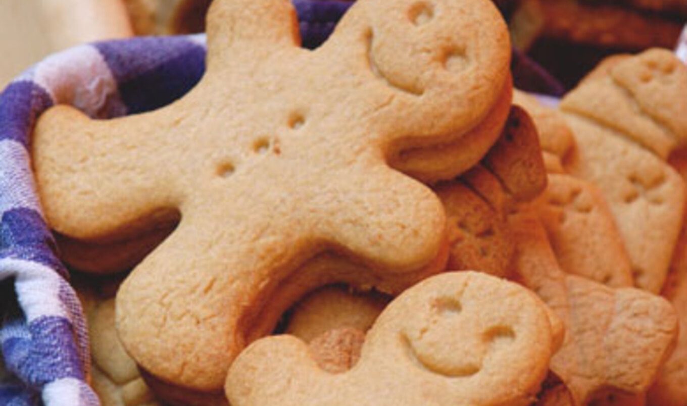 Ginger Dog Treats VegNews