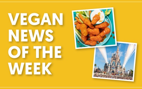 Meatless Super Bowl Wings, Disney’s Plant-Based Makeover, and More Vegan News of the Week