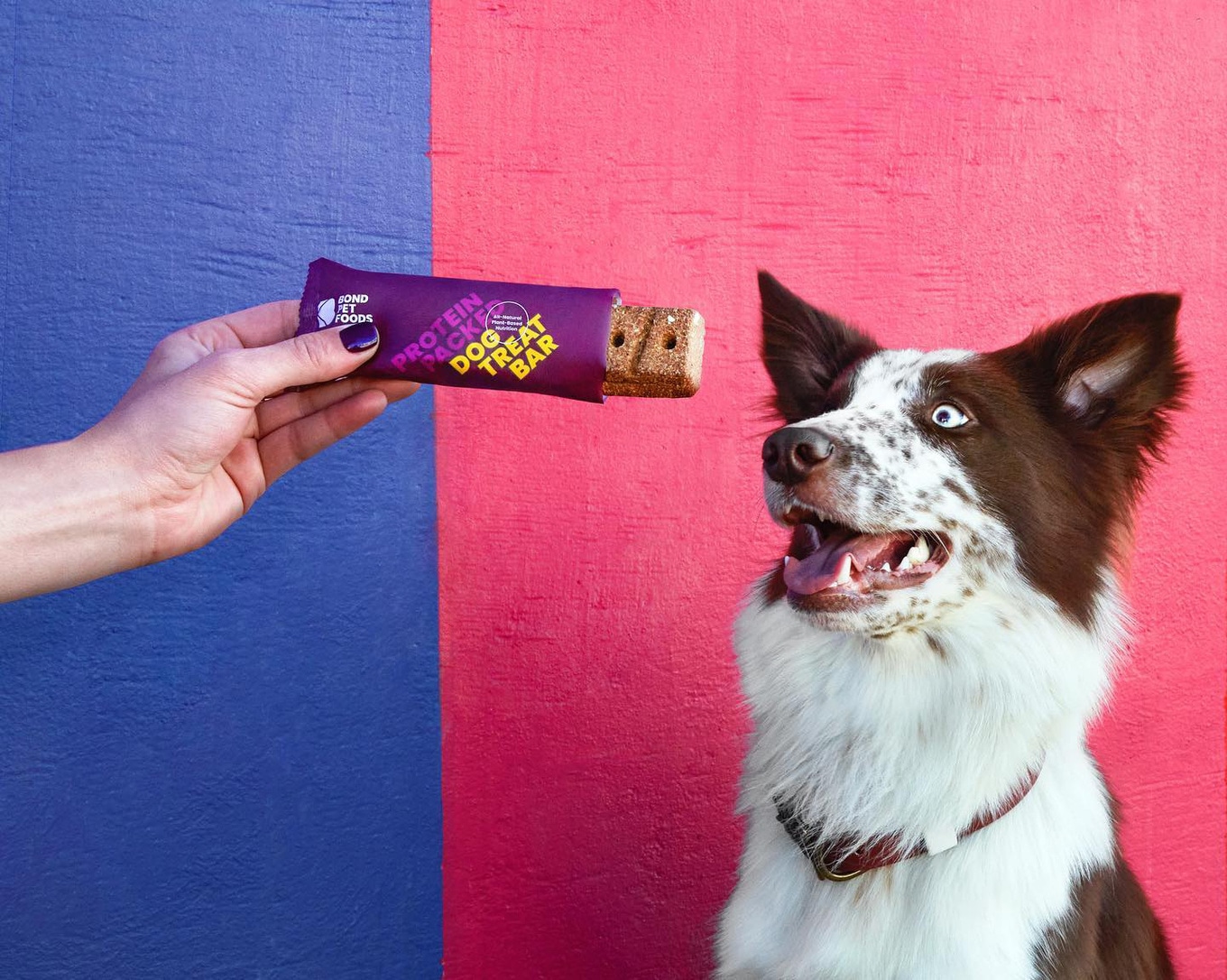 VegNews.BondPetFoods2