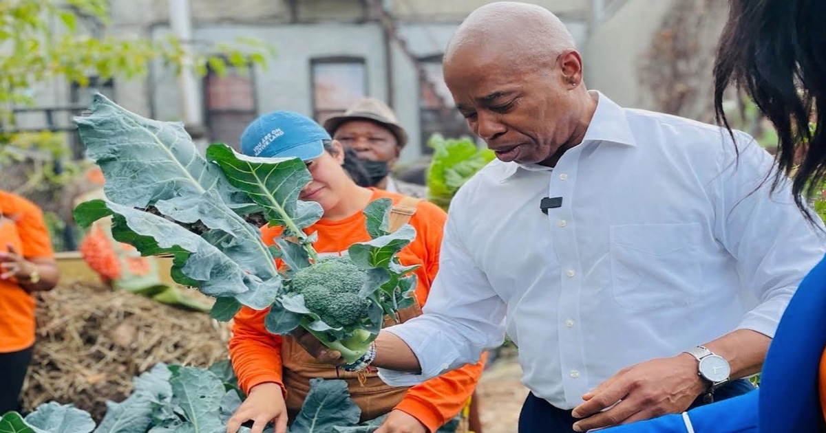 "Perfectly Imperfect" NYC Mayor Eric Adams Admits to Eating Fish; Commits to Vegan City Initiatives. - Vimarsana News