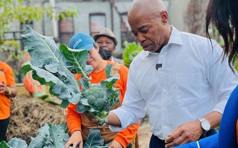 "Perfectly Imperfect" NYC Mayor Eric Adams Admits to Eating Fish; Commits to Vegan City Initiatives.