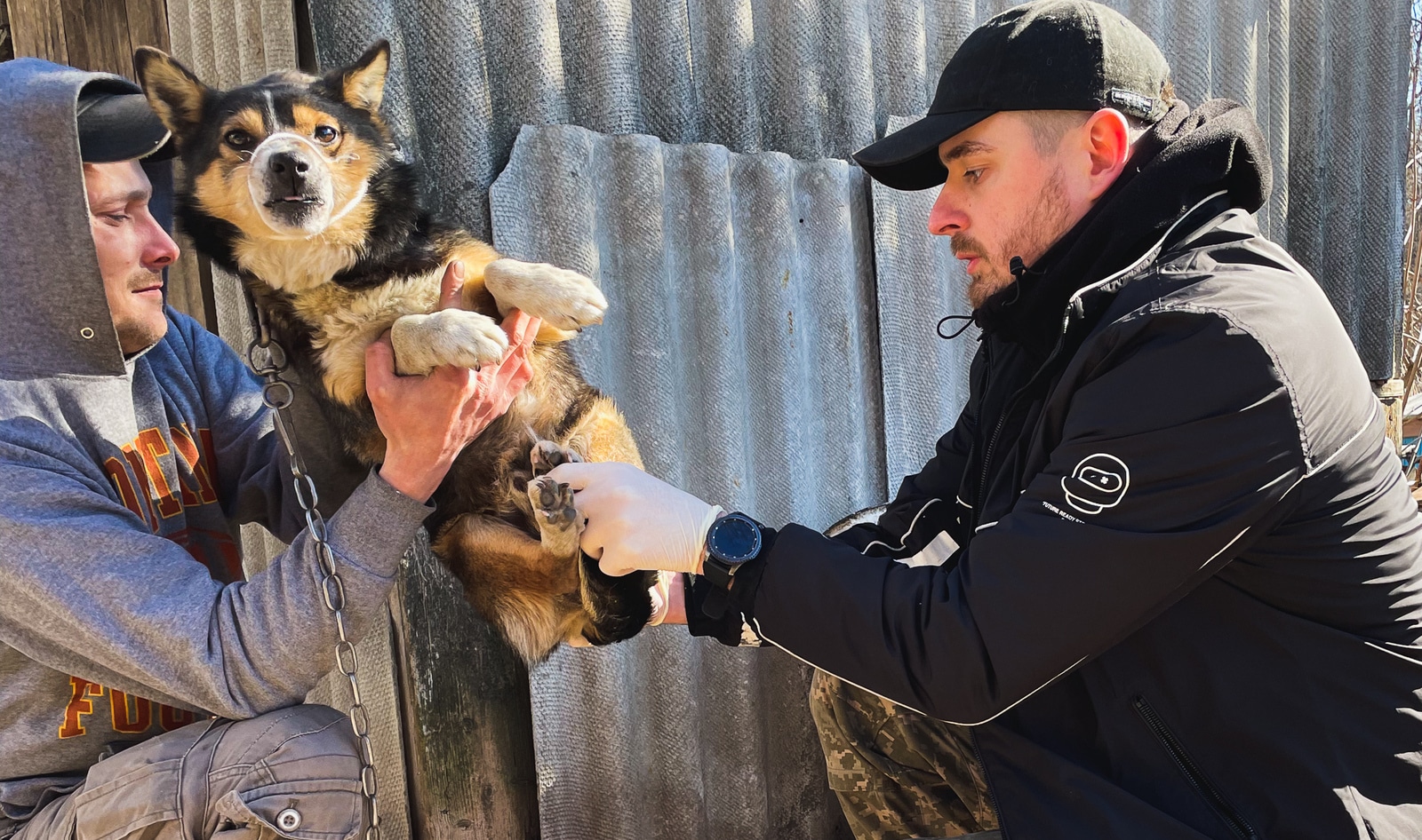 How This Ukrainian Veterinarian Is Helping Save Animals in War-Torn Kyiv