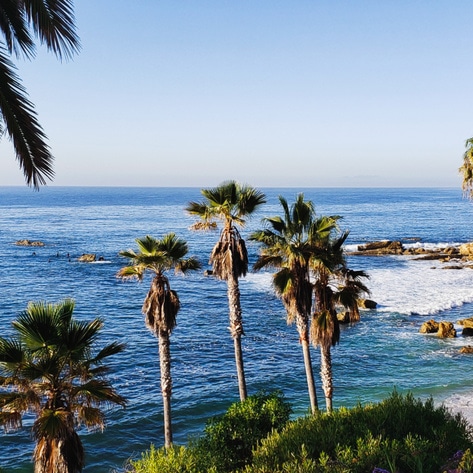 5 Vegan-Friendly Beach Towns You Need to Visit