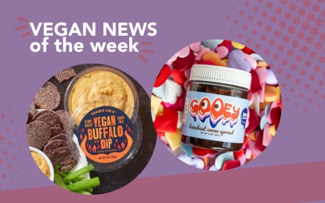TJ's Buffalo Dip, New Dairy-Free Nutella, and More Vegan Food News of the Week