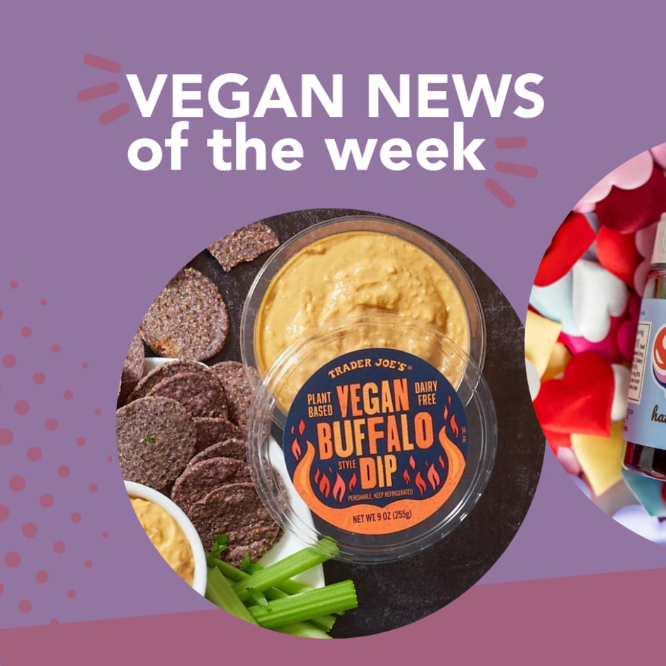 TJ's Buffalo Dip, New Dairy-Free Nutella, and More Vegan Food News of the Week