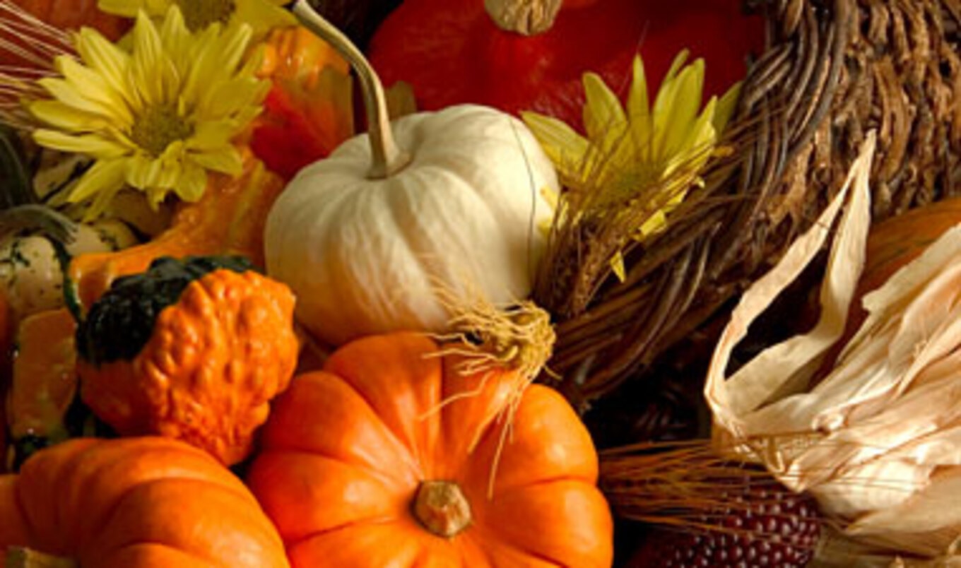 Milwaukee Group Hosts Thanksgiving Veg Feast