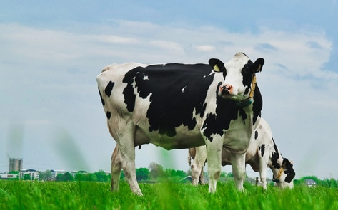New IPCC Report Warns Cutting Methane Emissions 33 Percent Must Happen "Now or Never"