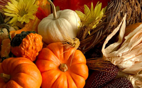 Failproof Thanksgiving Tips From the VN Editors