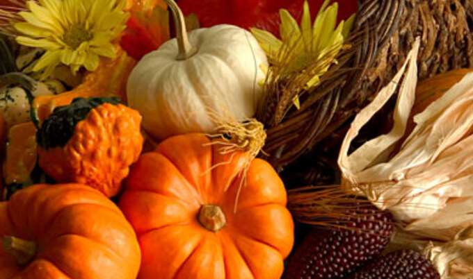 thanksgivingtipsfeaturette