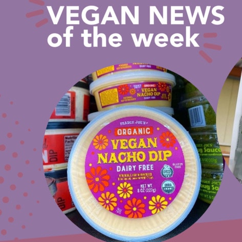 BabyBel Cheese In Bulk, TJ’s Nacho Dip, and More Vegan Food News of the Week