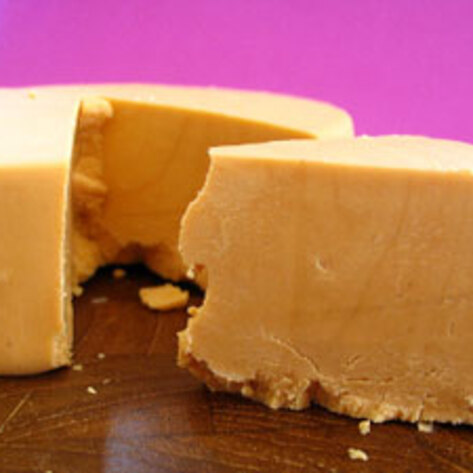 Vegan Cheese on Kickstarter