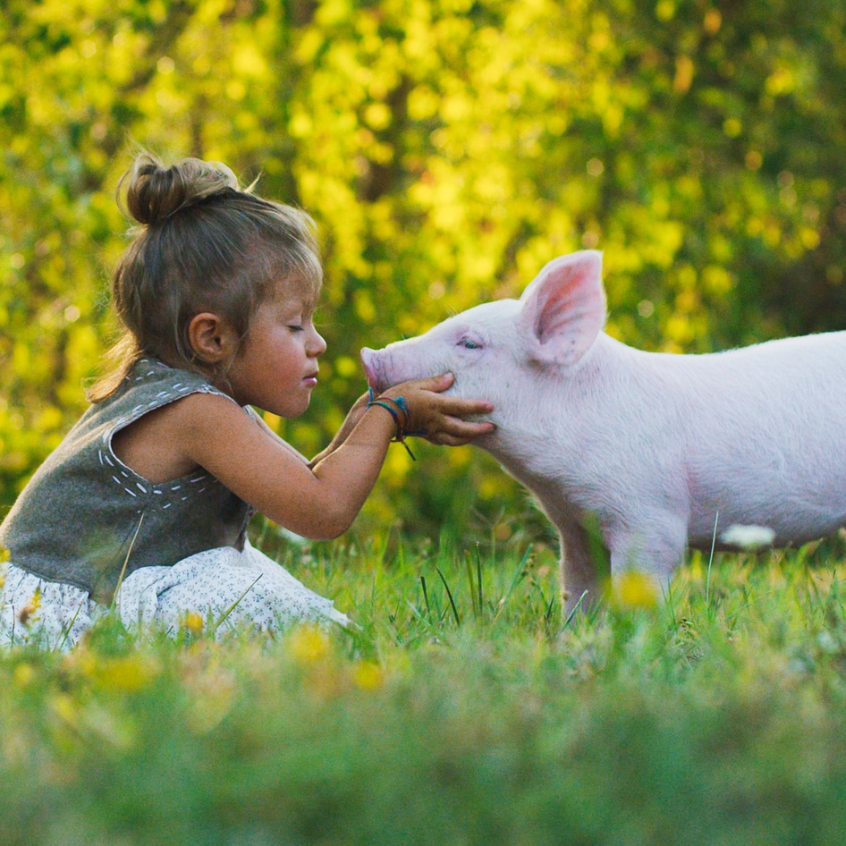 Until Age 11, Children Less Likely Than Adults to See Animals as Food, Study Finds