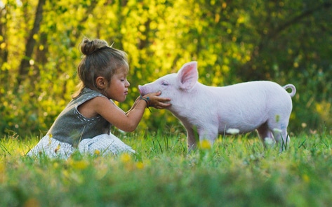 Until Age 11, Children Less Likely Than Adults to See Animals as Food, Study Finds