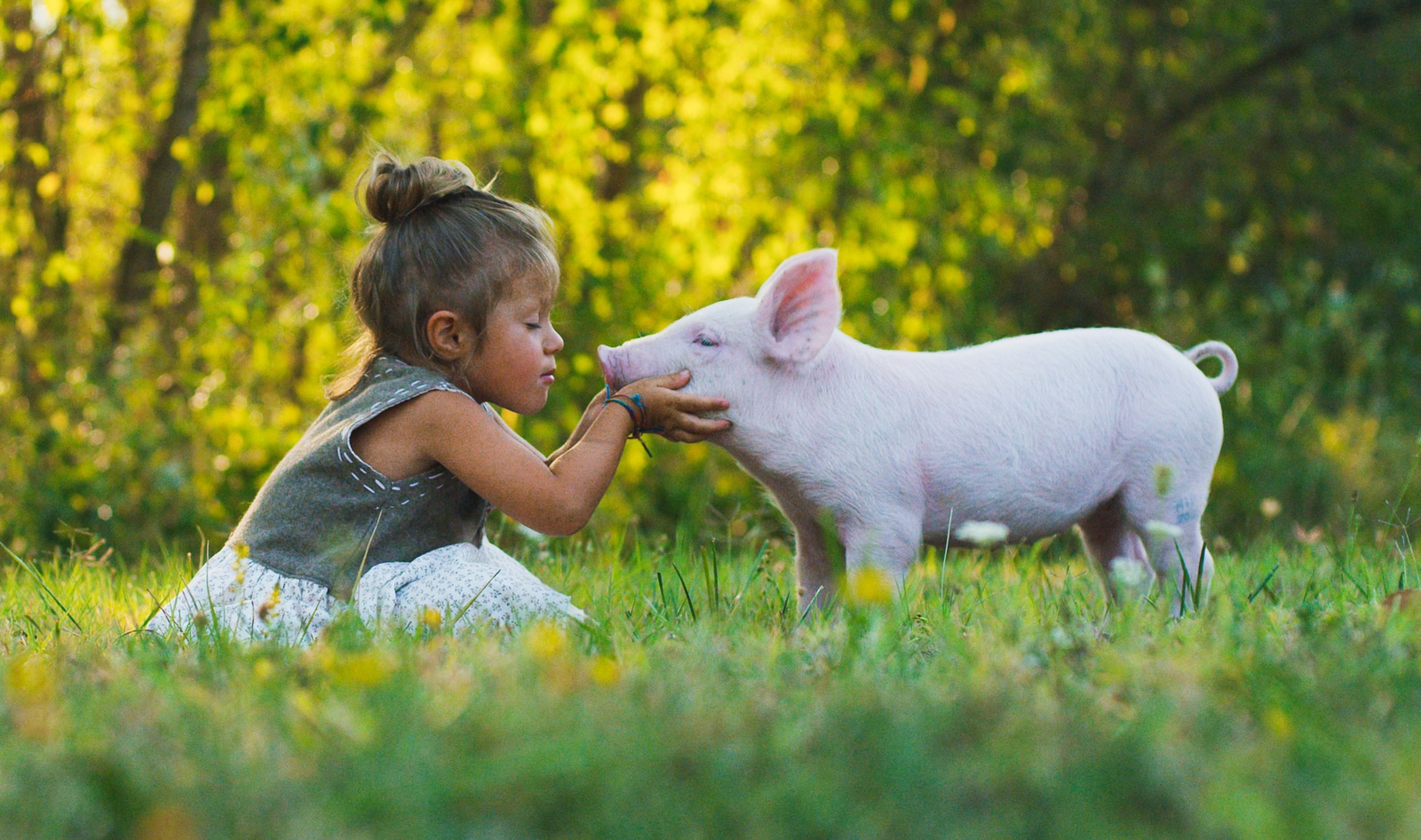 Until Age 11, Children Less Likely Than Adults to See Animals as Food, Study Finds