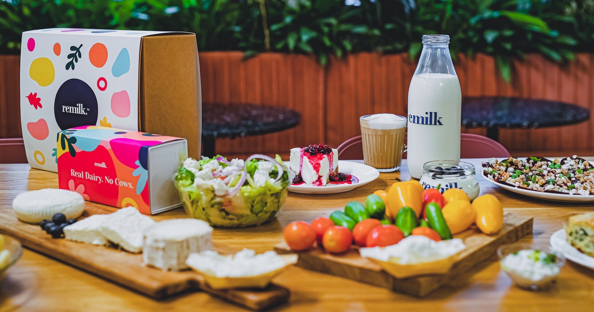 The World's Largest Animal-Free Dairy Factory Will Make As Much Milk Protein as 50,000 Cows - Vimarsana News