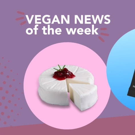 Violife's Cheese Rounds, Soylent Green, and More Vegan Food News of the Week
