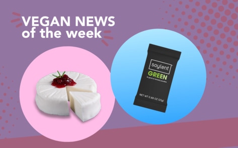 Violife's Cheese Rounds, Soylent Green, and More Vegan Food News of the Week