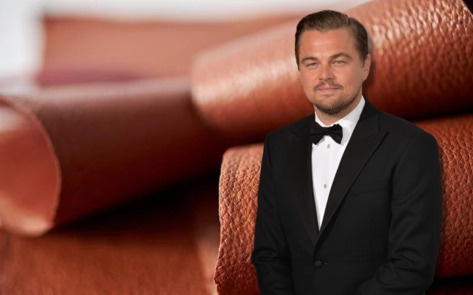 Leonardo DiCaprio Invests in Startup That Is Growing Leather From Cells 