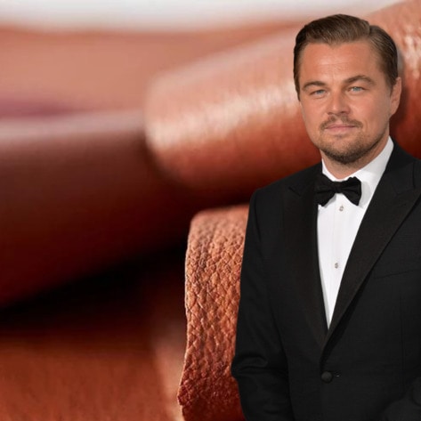 Leonardo DiCaprio Invests in Startup That Is Growing Leather From Cells&nbsp;